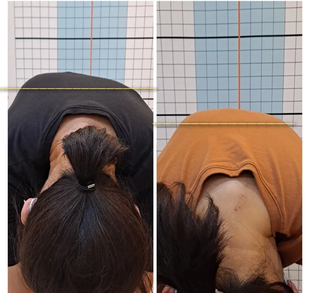이미지 6