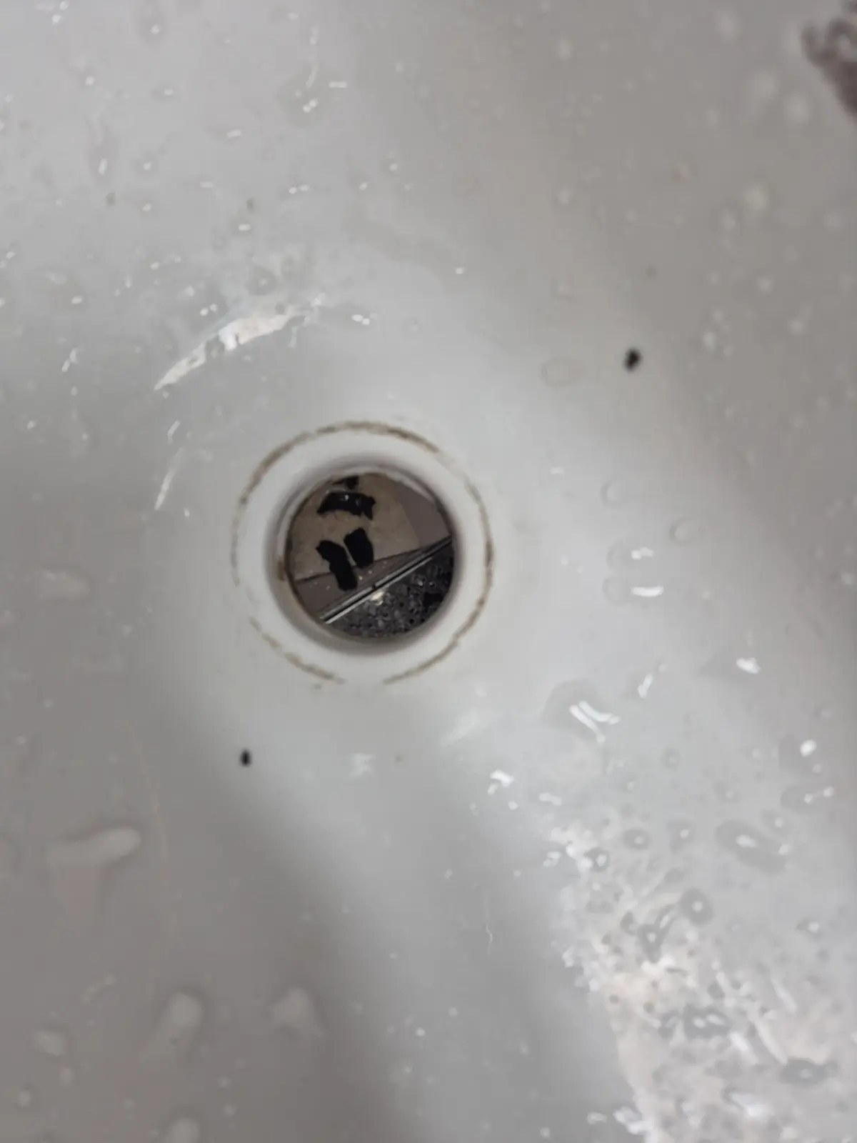 이미지 14
