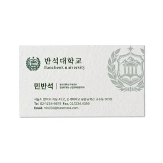 대학원ㆍ교직원 명함 디자인 :: MSGSTUDIO