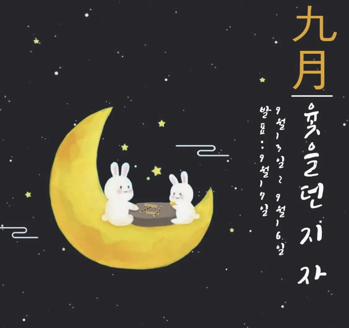 이미지 4
