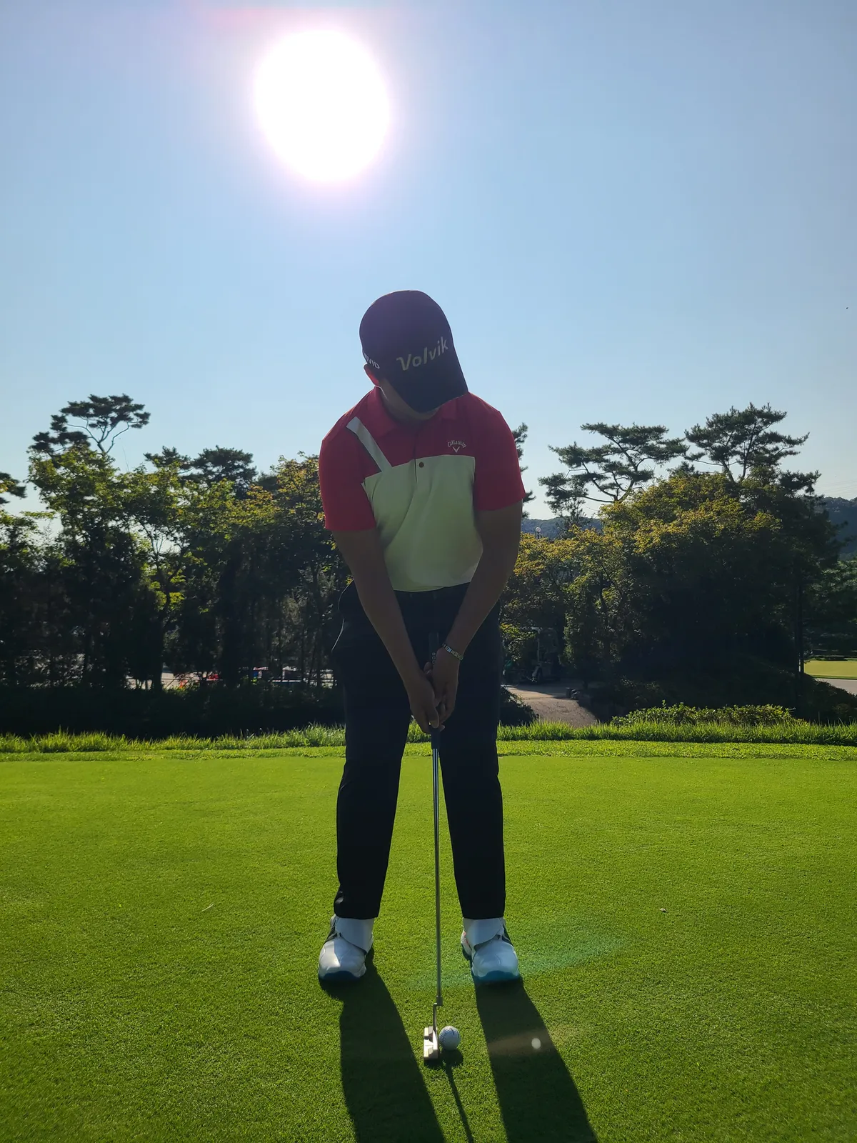 이미지 3