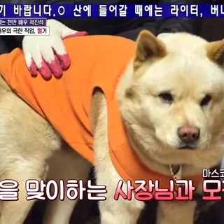 청담철거 TV에 나오다
