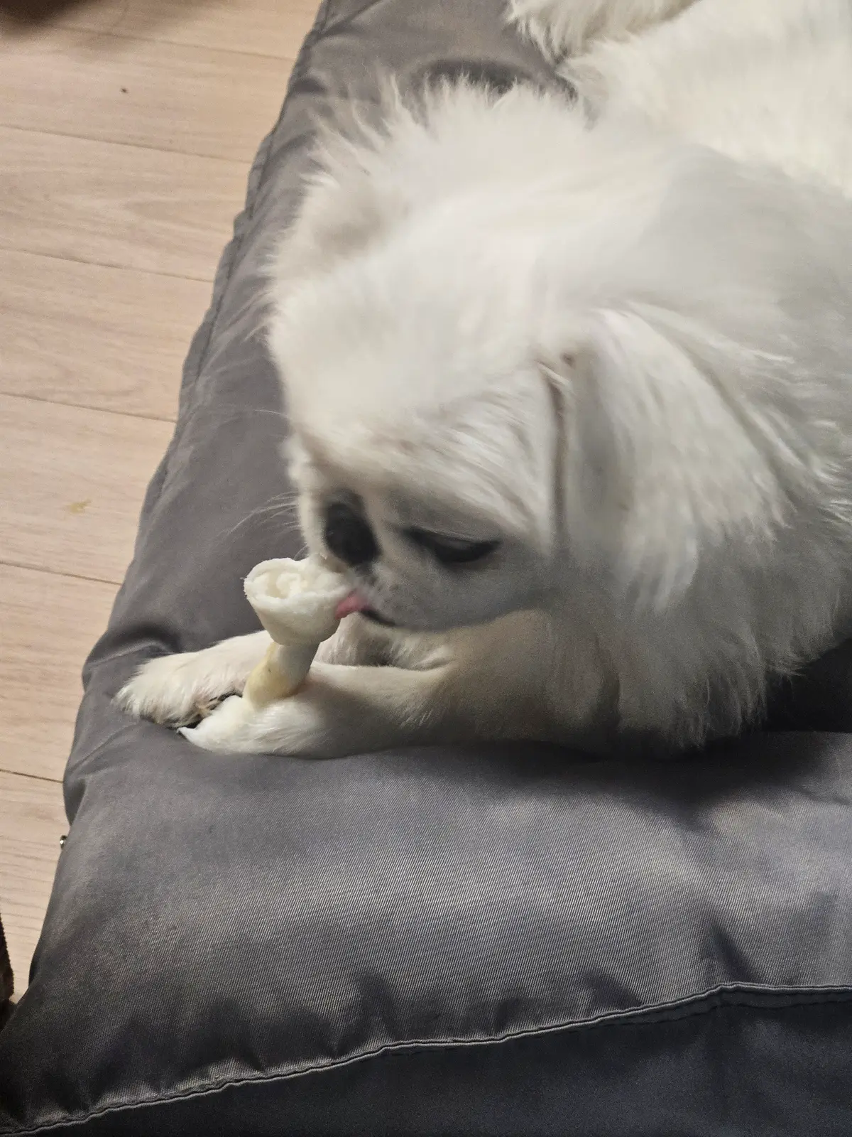 이미지 6