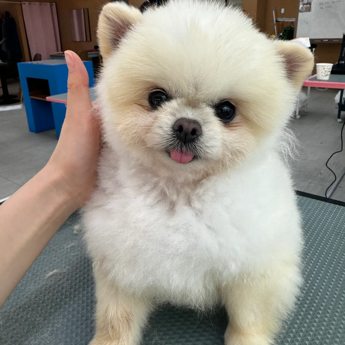 이미지 2