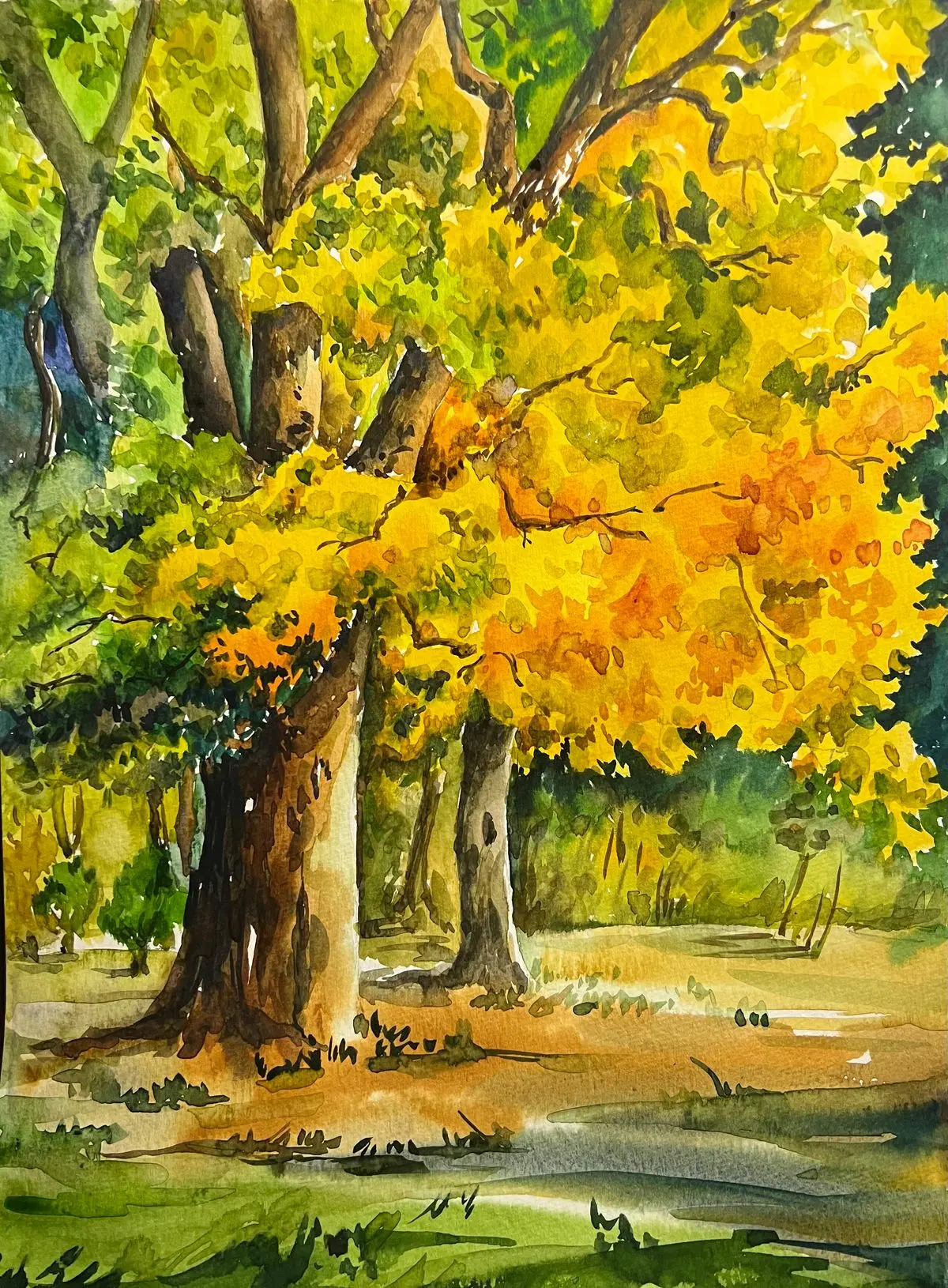 포트폴리오 이미지