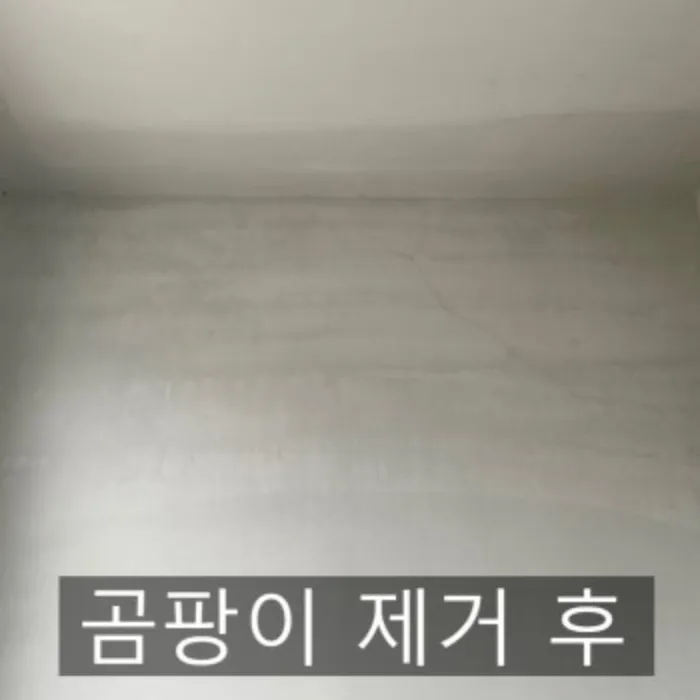 이미지 6