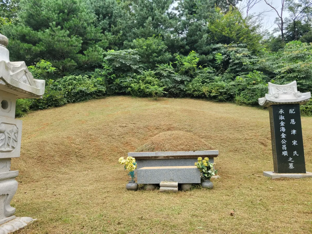 이미지 5