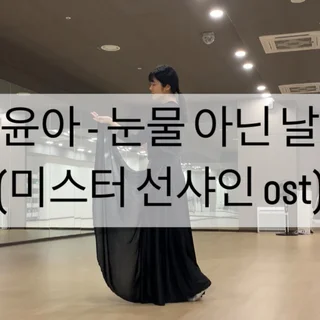 김윤아-눈물 아닌 날들(미스터선샤인ost)