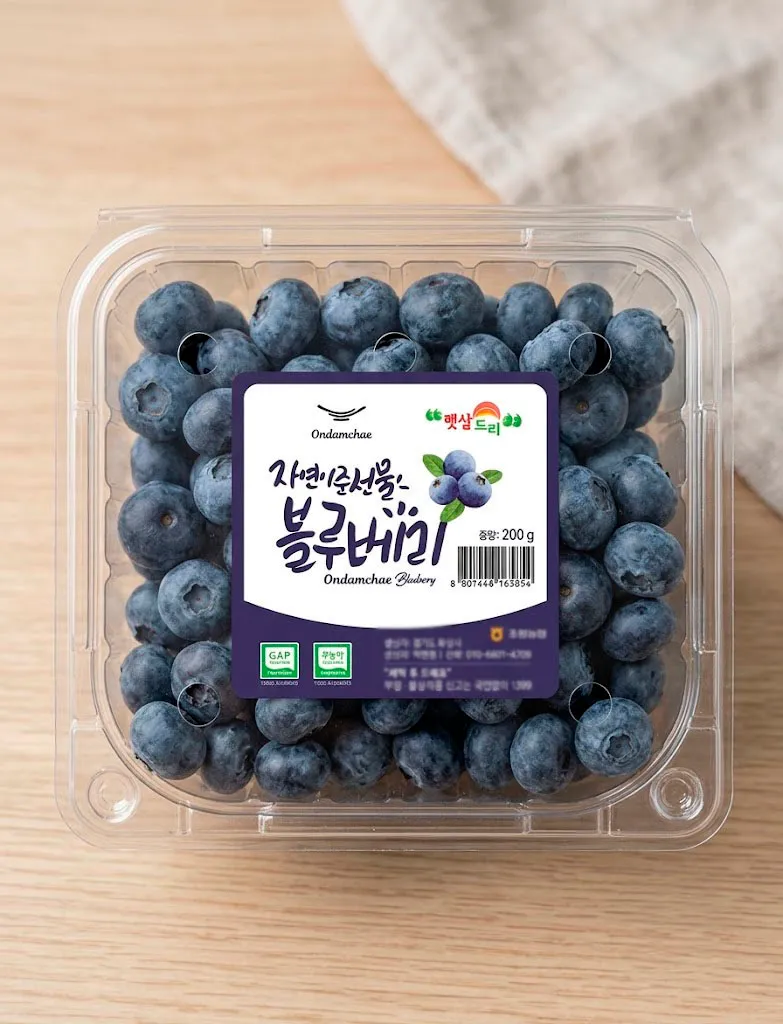 이미지 26