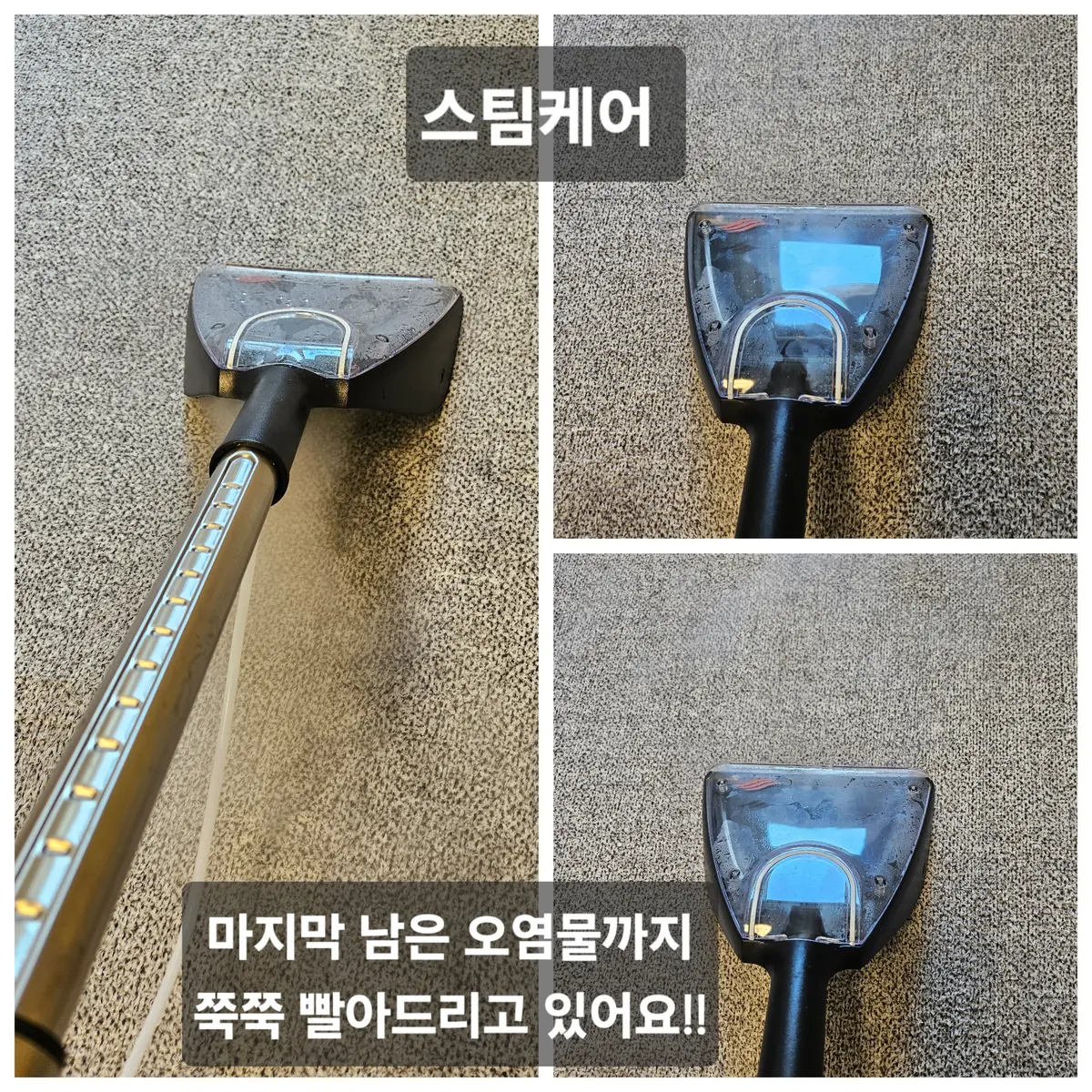 이미지 5