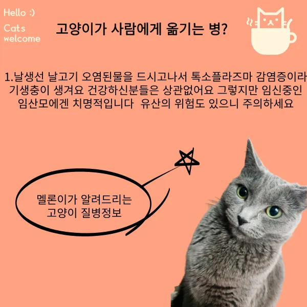 이미지 7