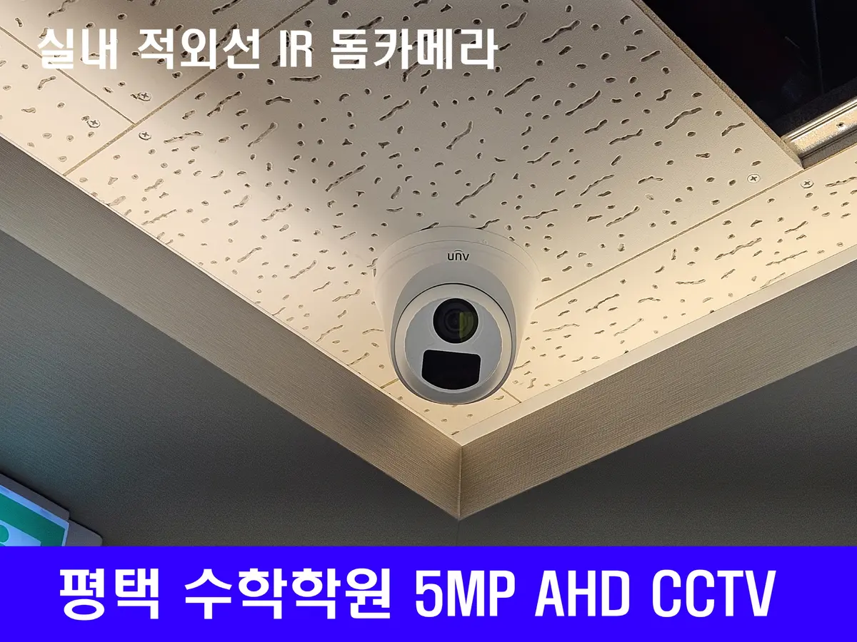 이미지 5