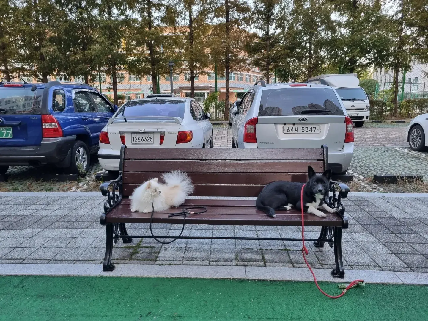이미지 7