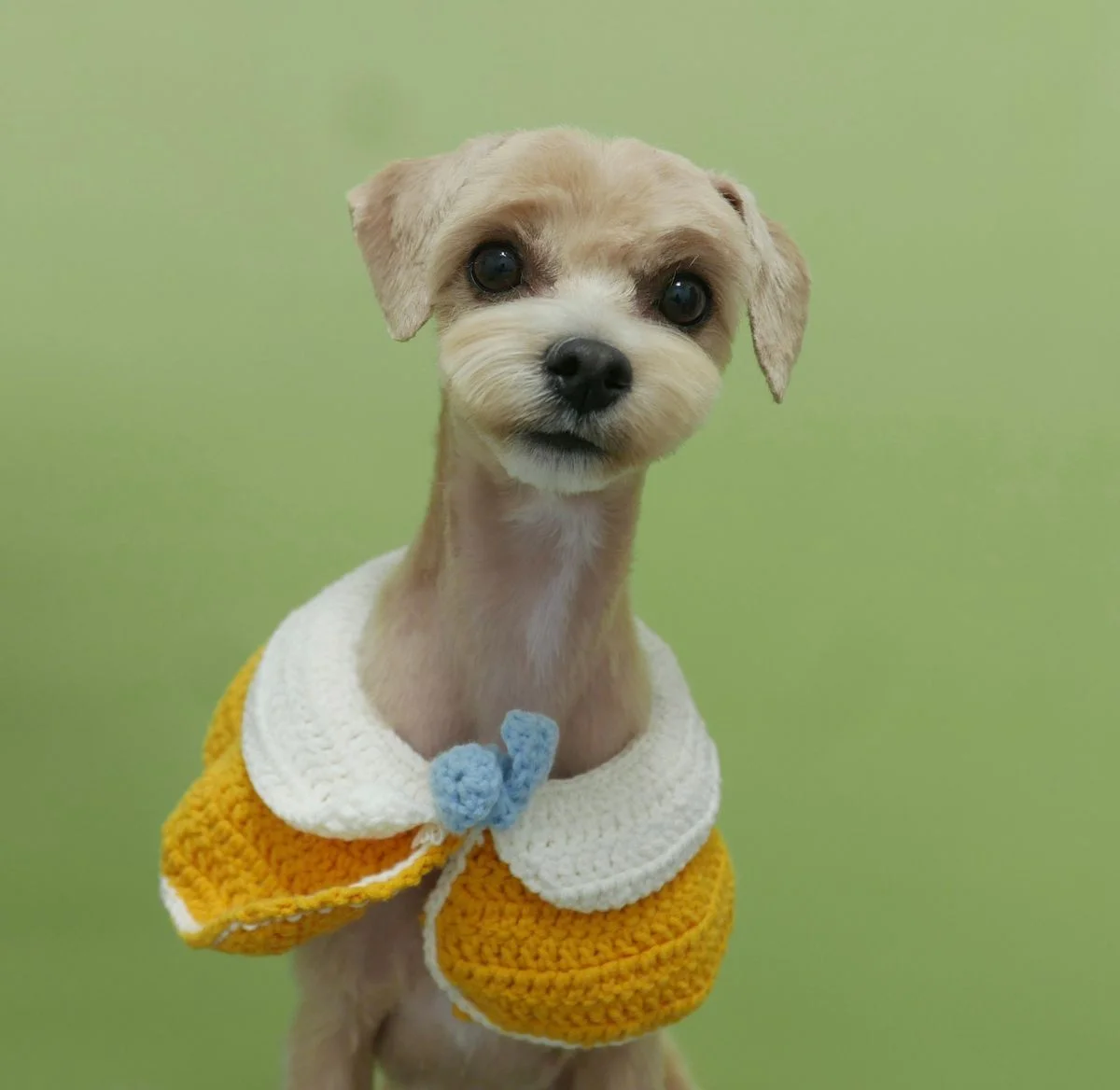 이미지 8