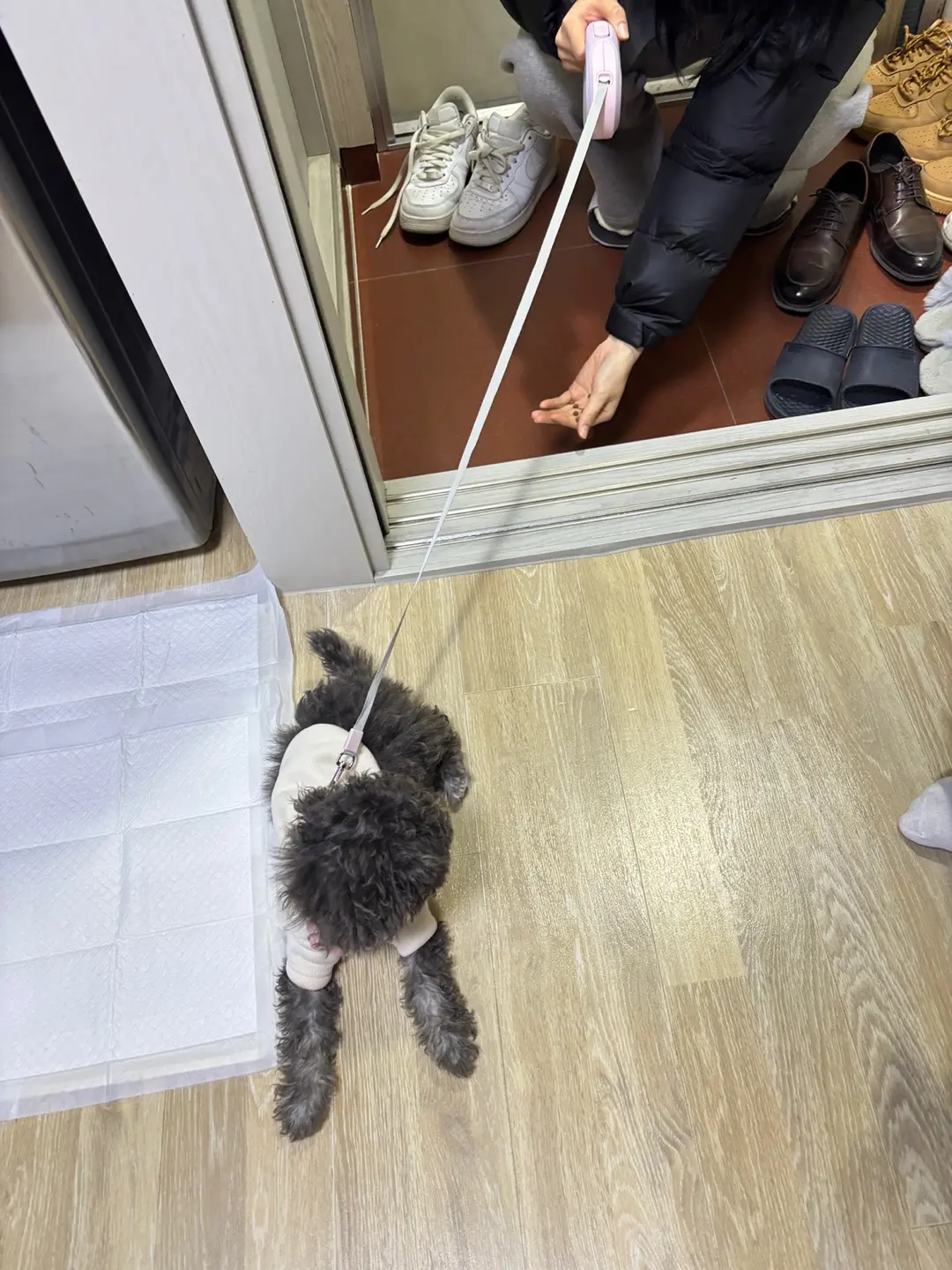이미지 6
