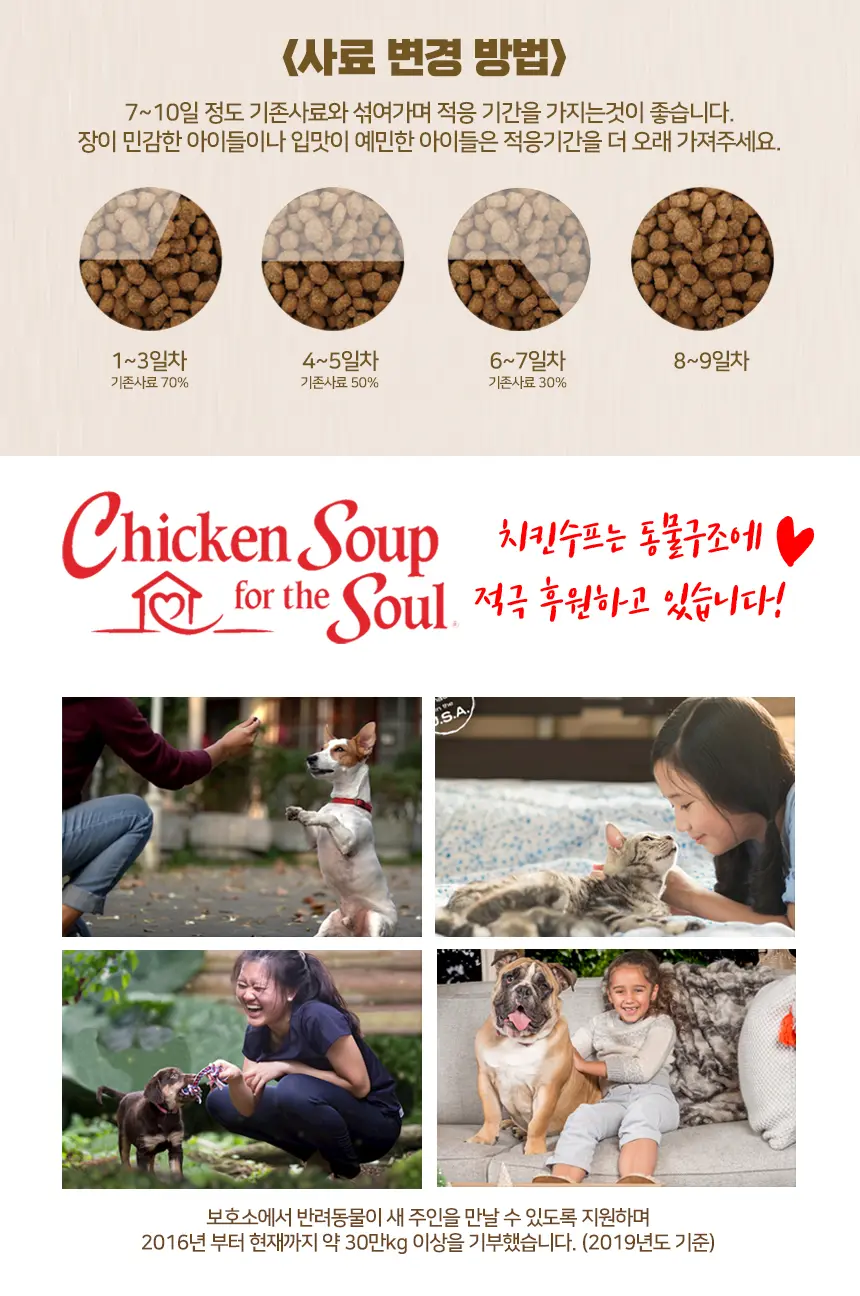 이미지 6