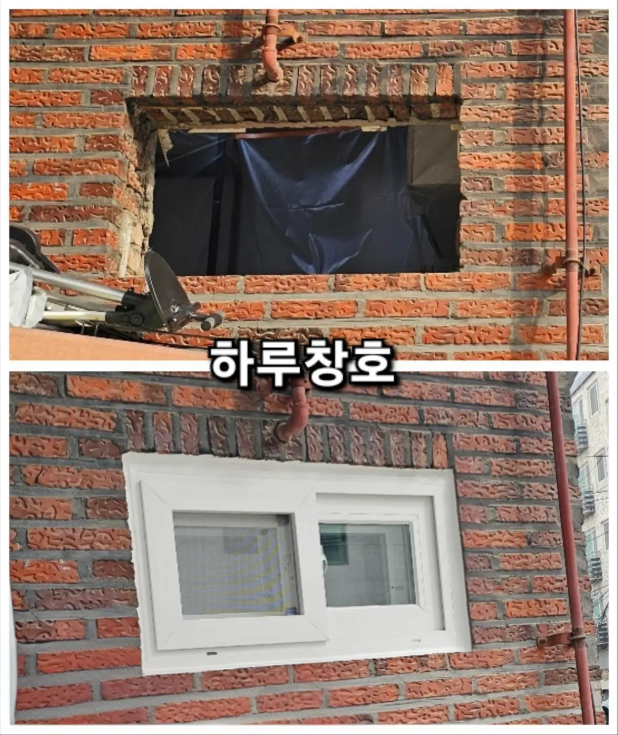 이미지 11