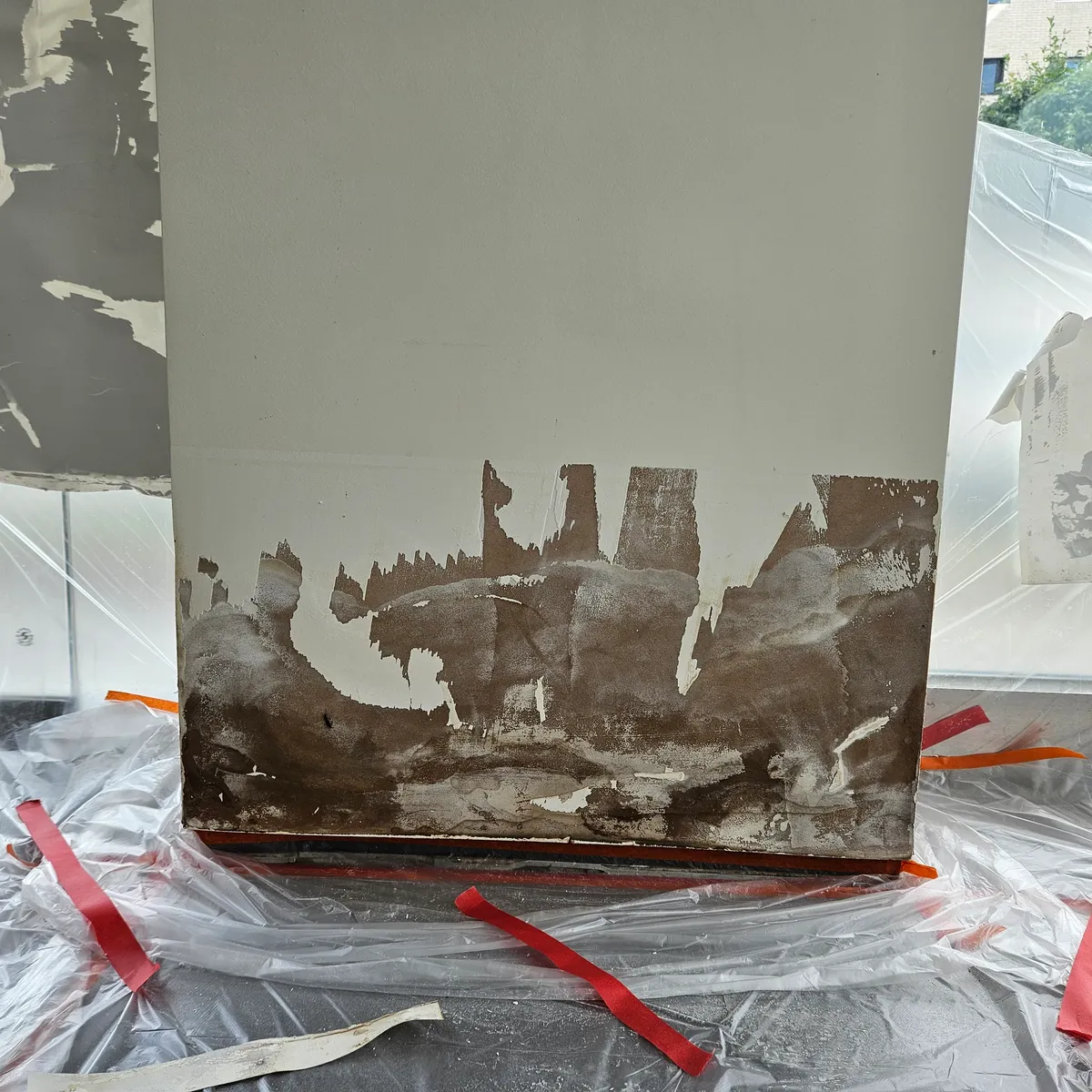 이미지 2