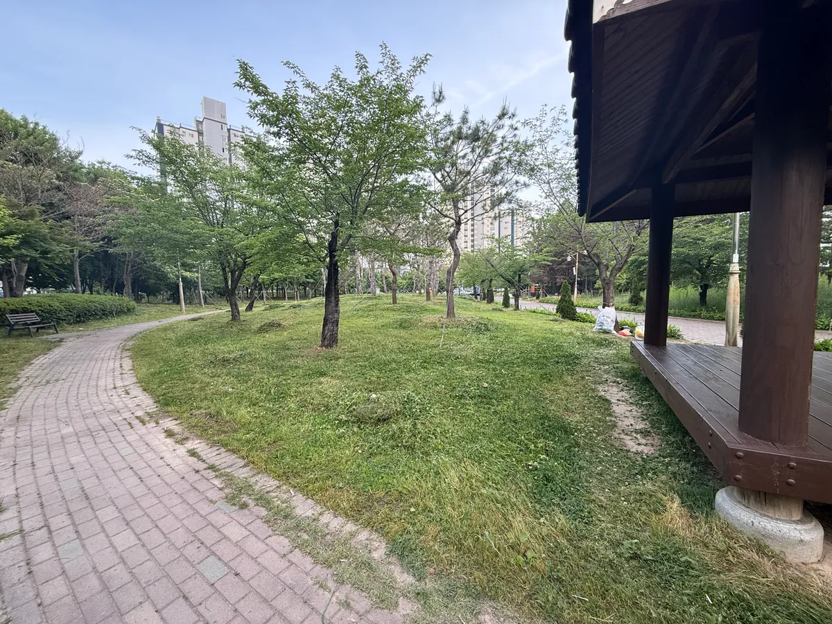 이미지 28