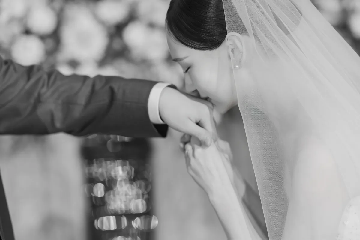 이미지 6