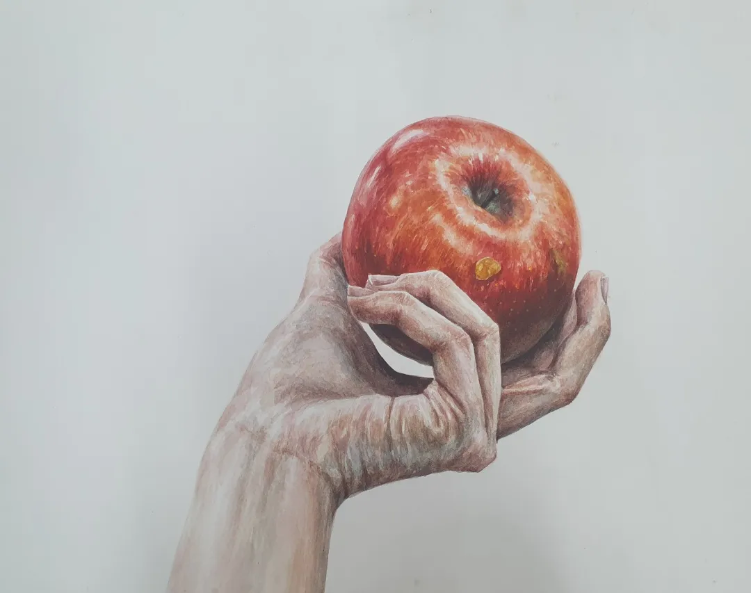 이미지 4