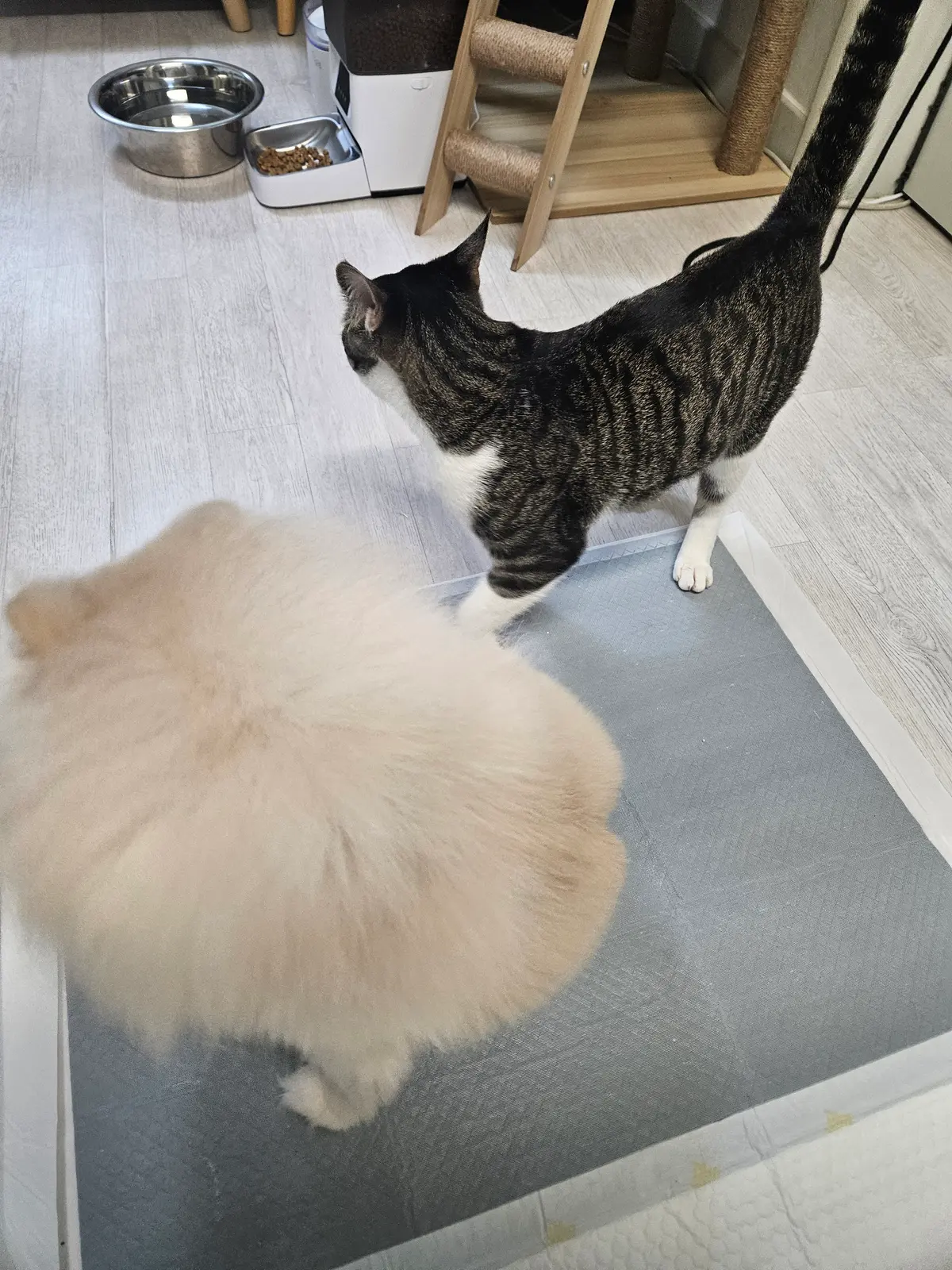 이미지 4