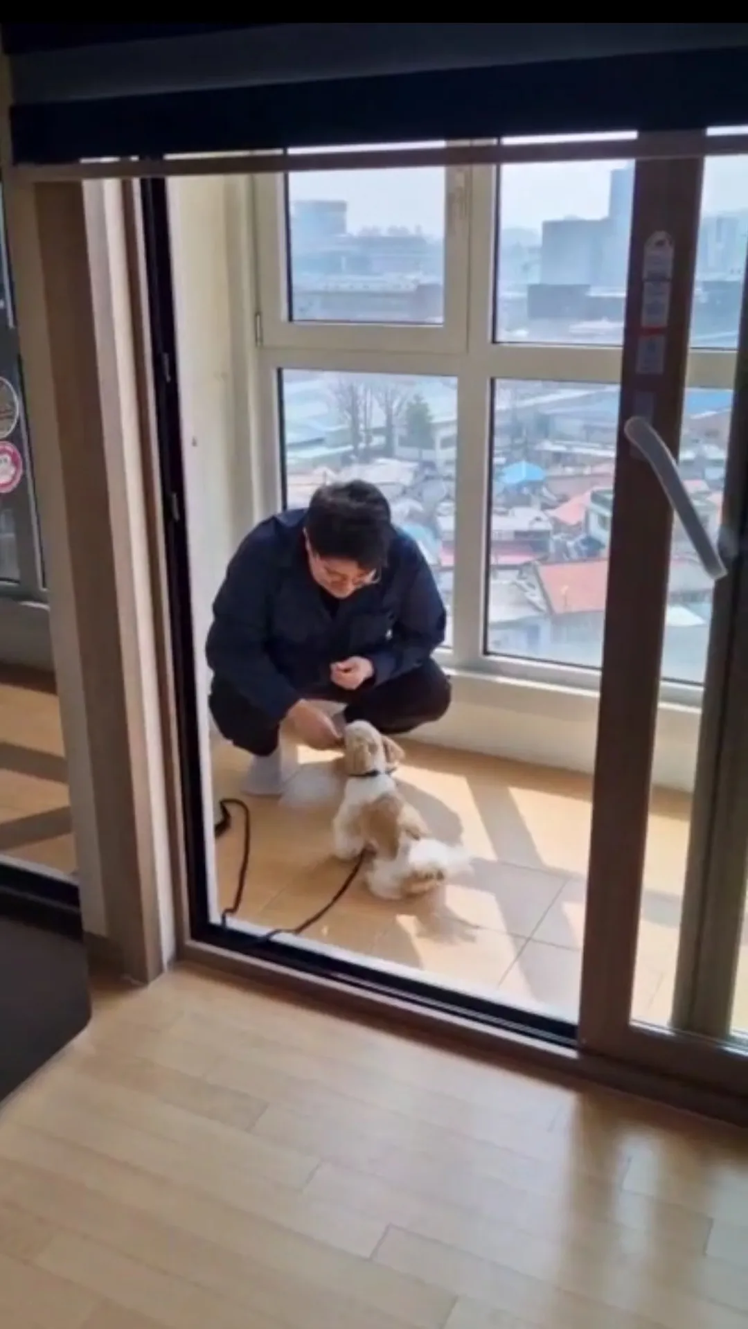 이미지 3