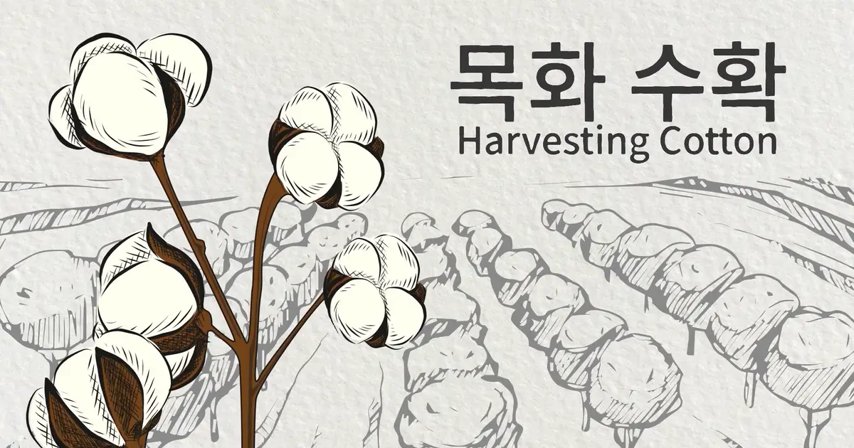 How Its Made : MEICELL / 주식회사 키키퍼(KEYKEEPER) - 숨고, 숨은고수 How Its Made : MEICELL