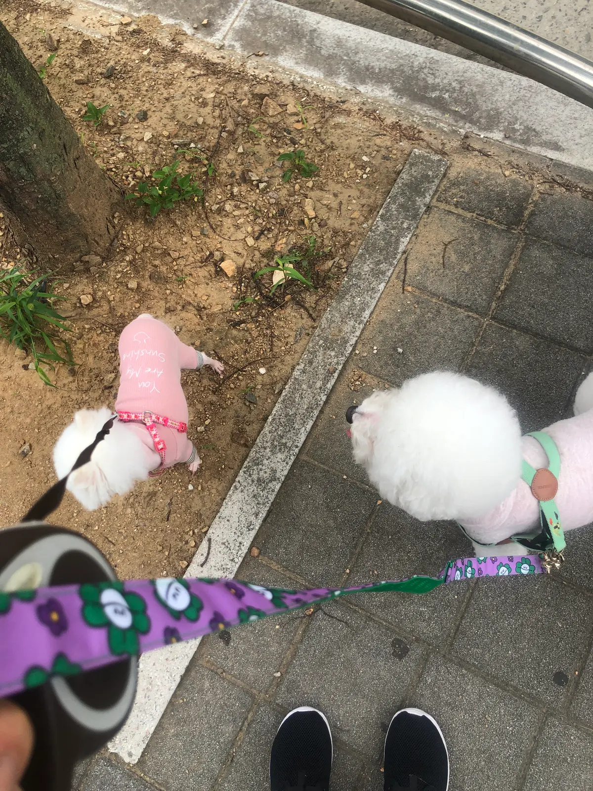 이미지 7