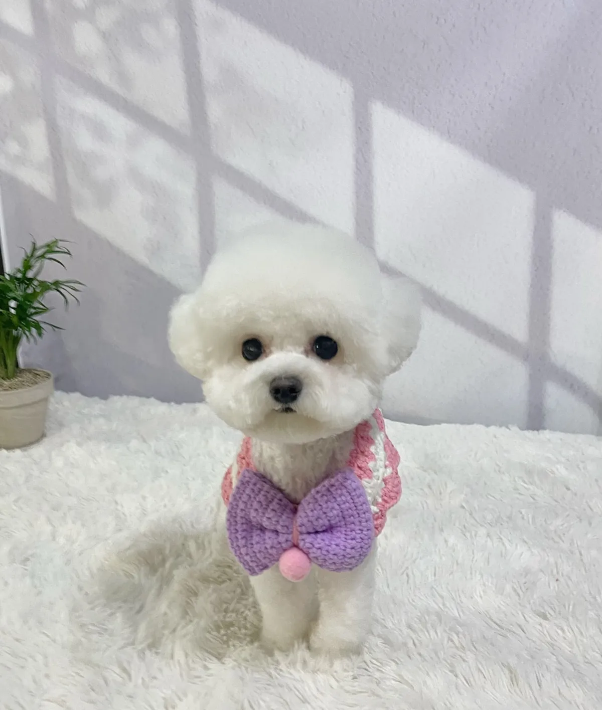 이미지 7