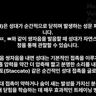 뮤지컬 보컬의 비밀, 글로탈 발성으로 완벽한 성대 접촉 마스터하기