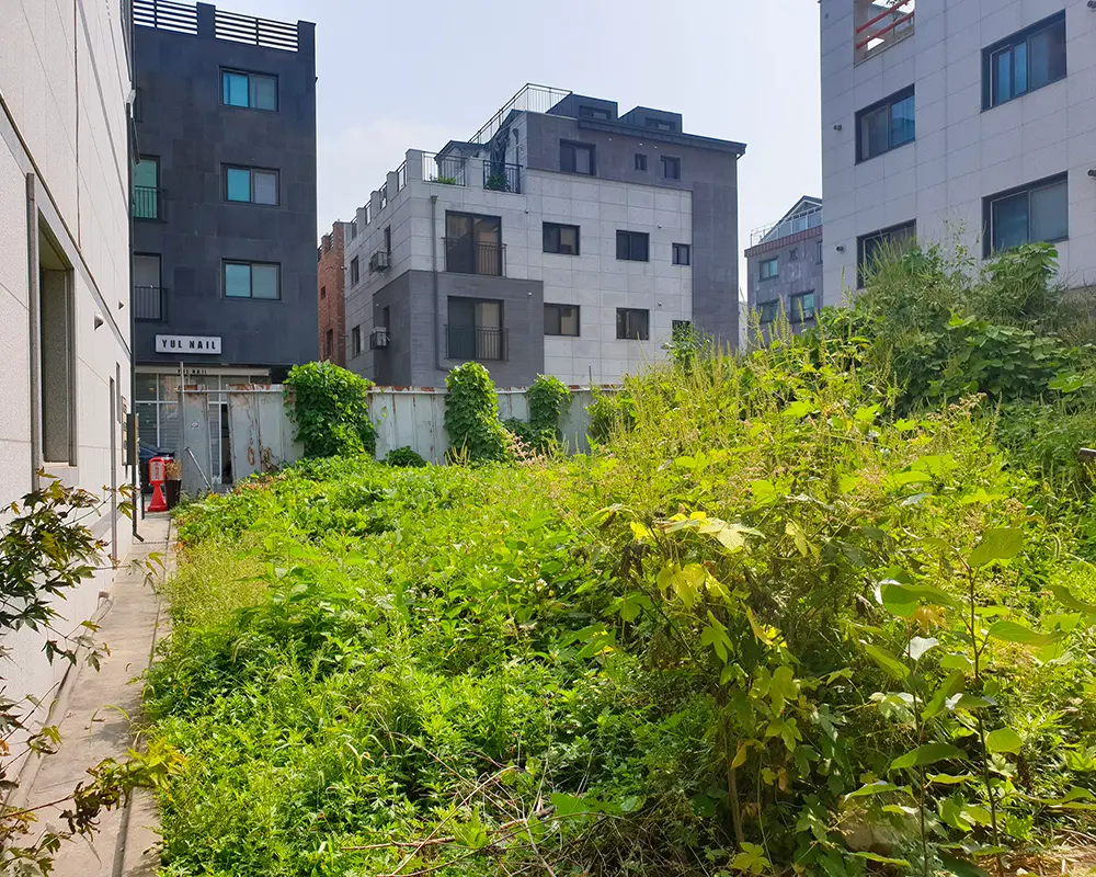 이미지 12