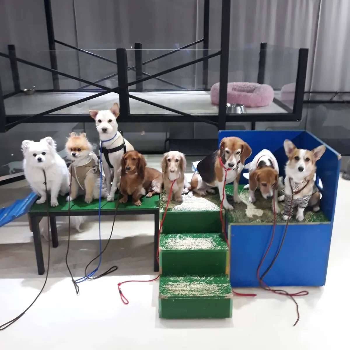 이미지 12