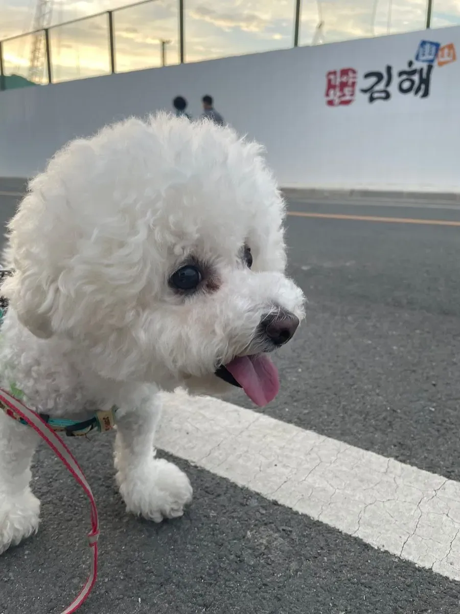 이미지 5