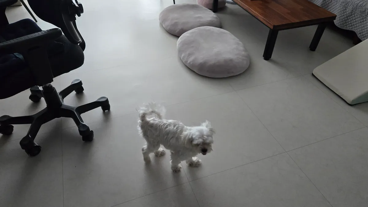이미지 4