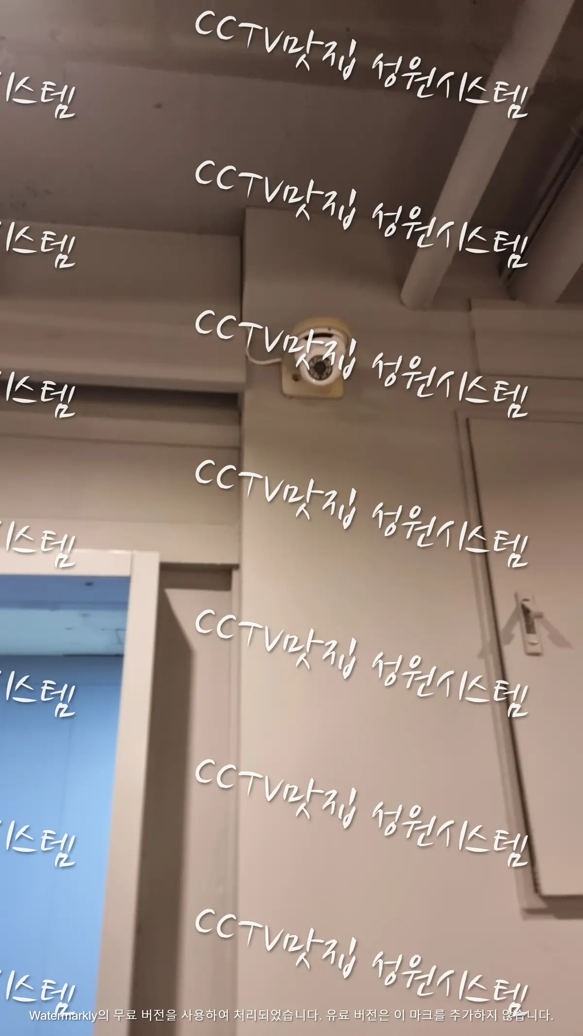이미지 8