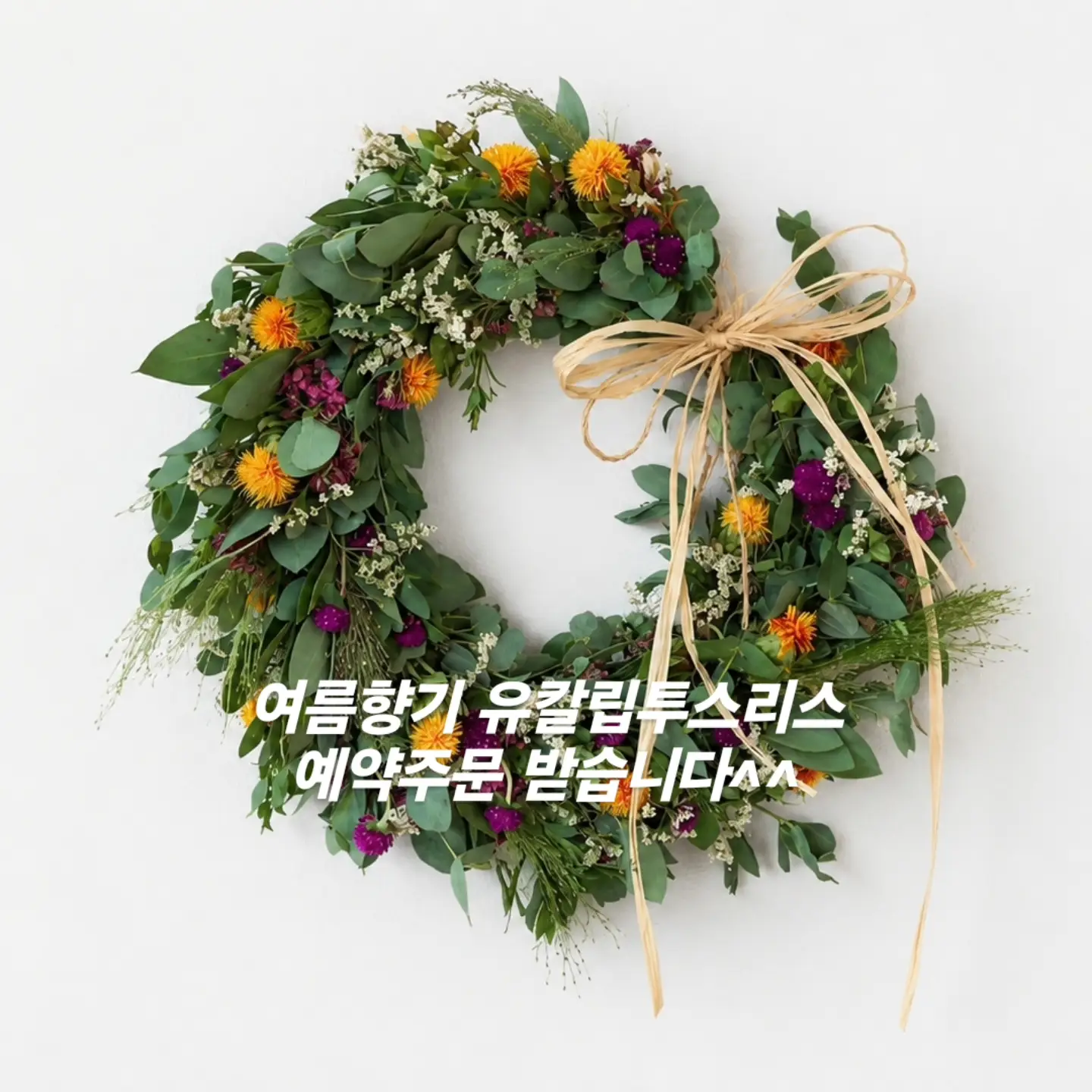 이미지 14