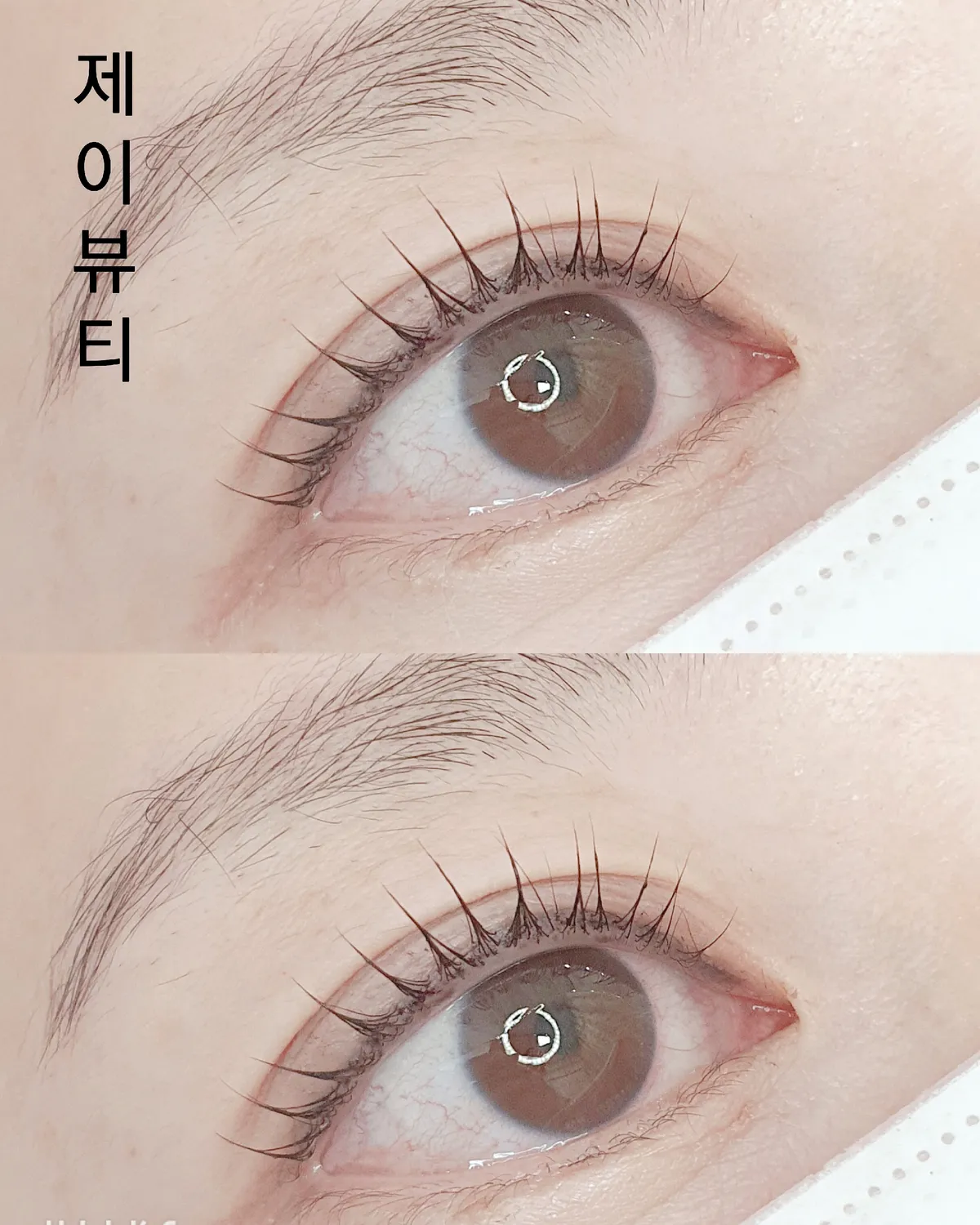 이미지 7
