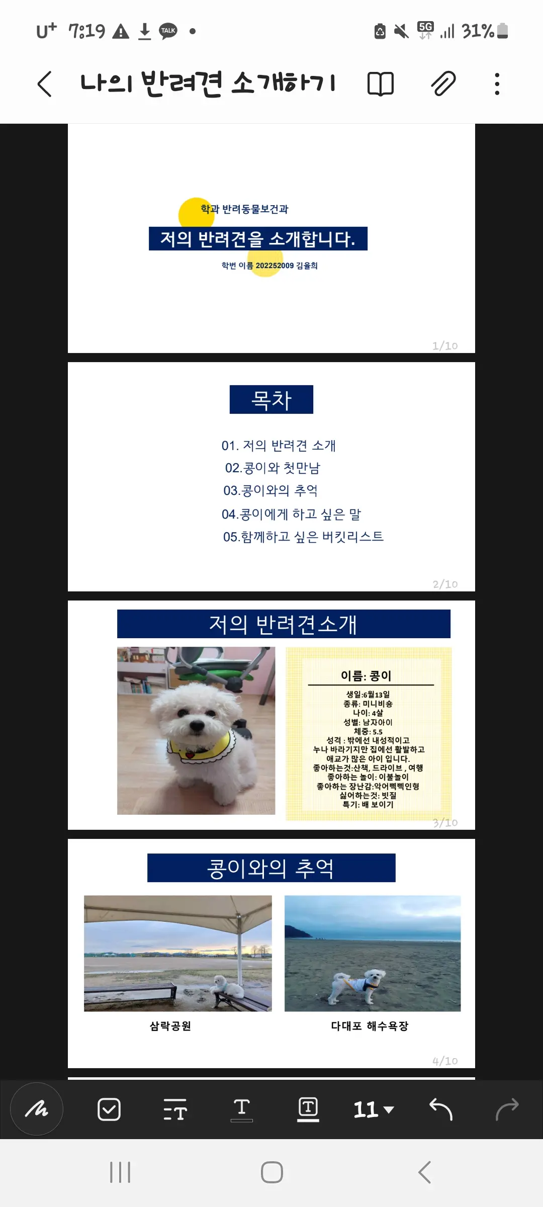 포트폴리오 이미지