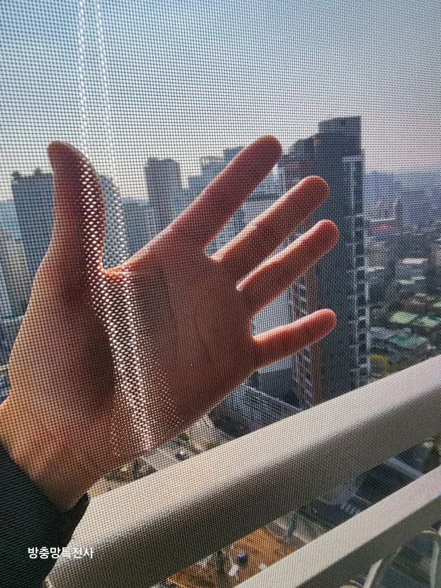 이미지 30
