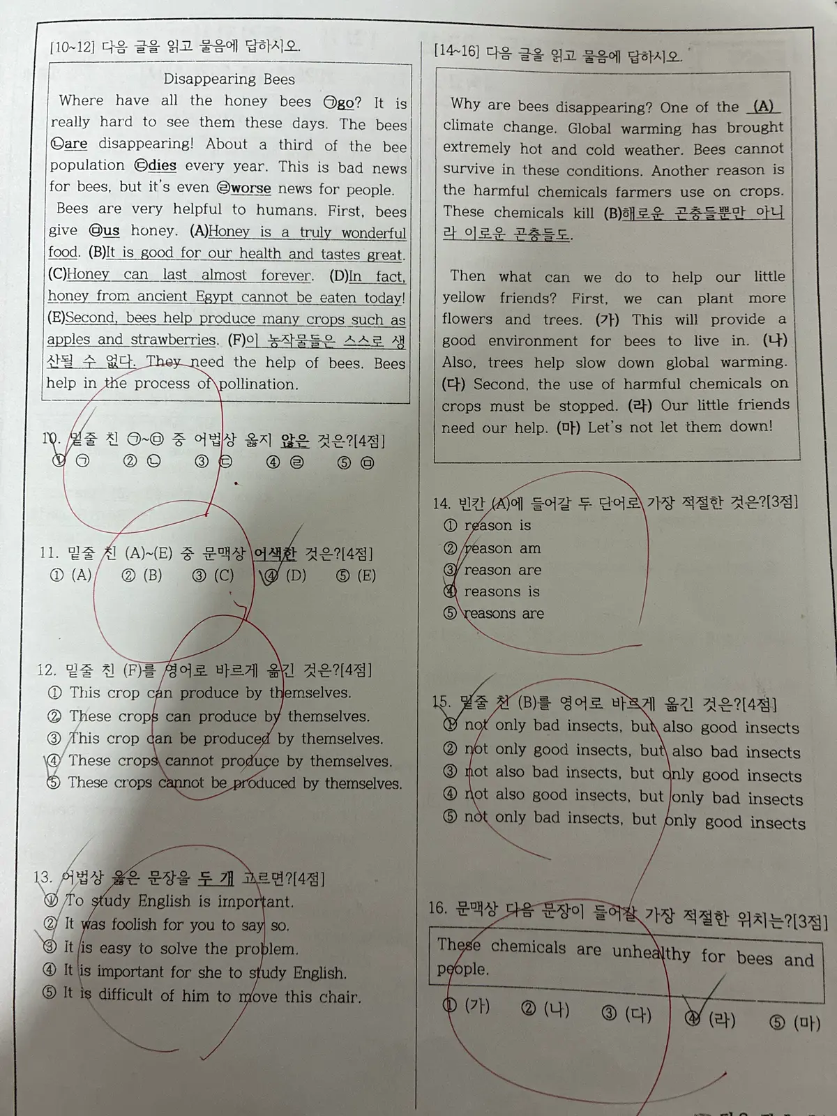 이미지 4