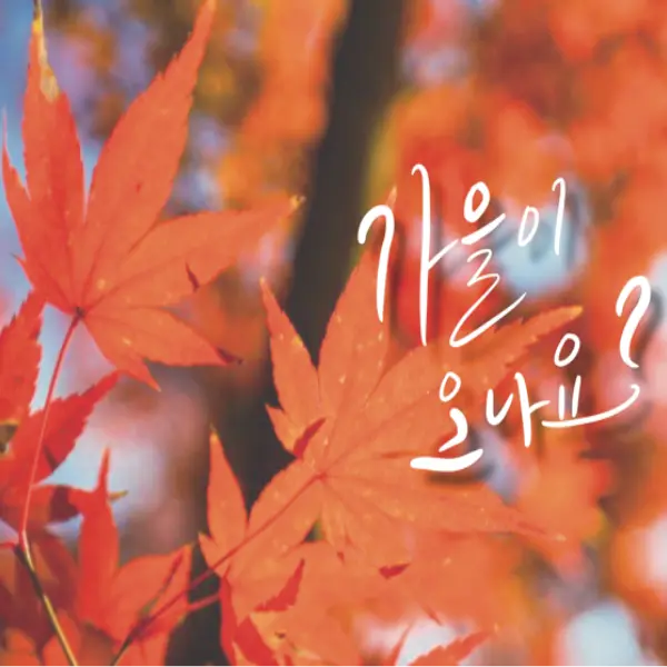 이미지 8