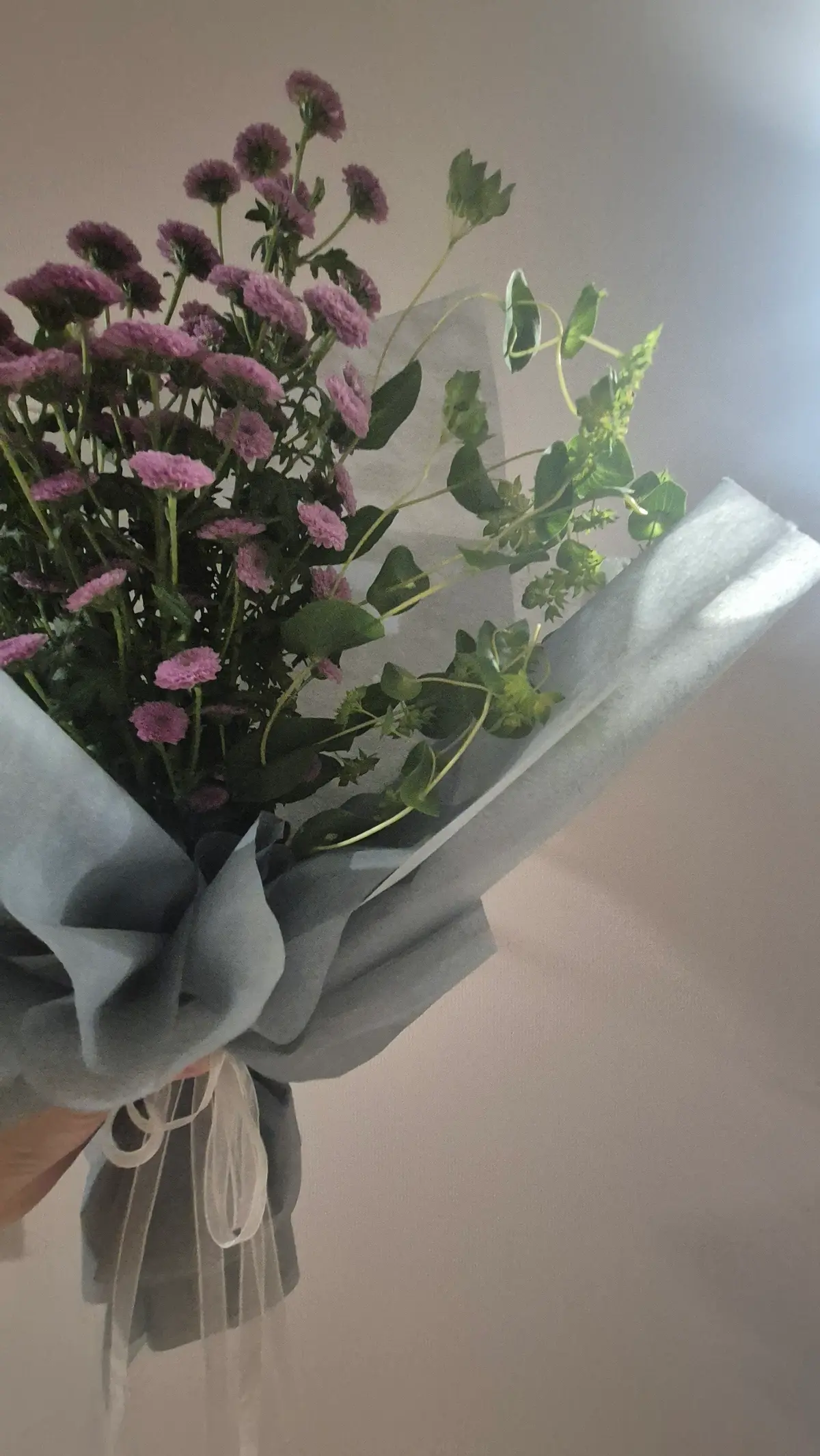 이미지 24