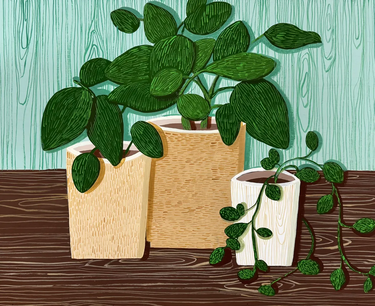 이미지 4