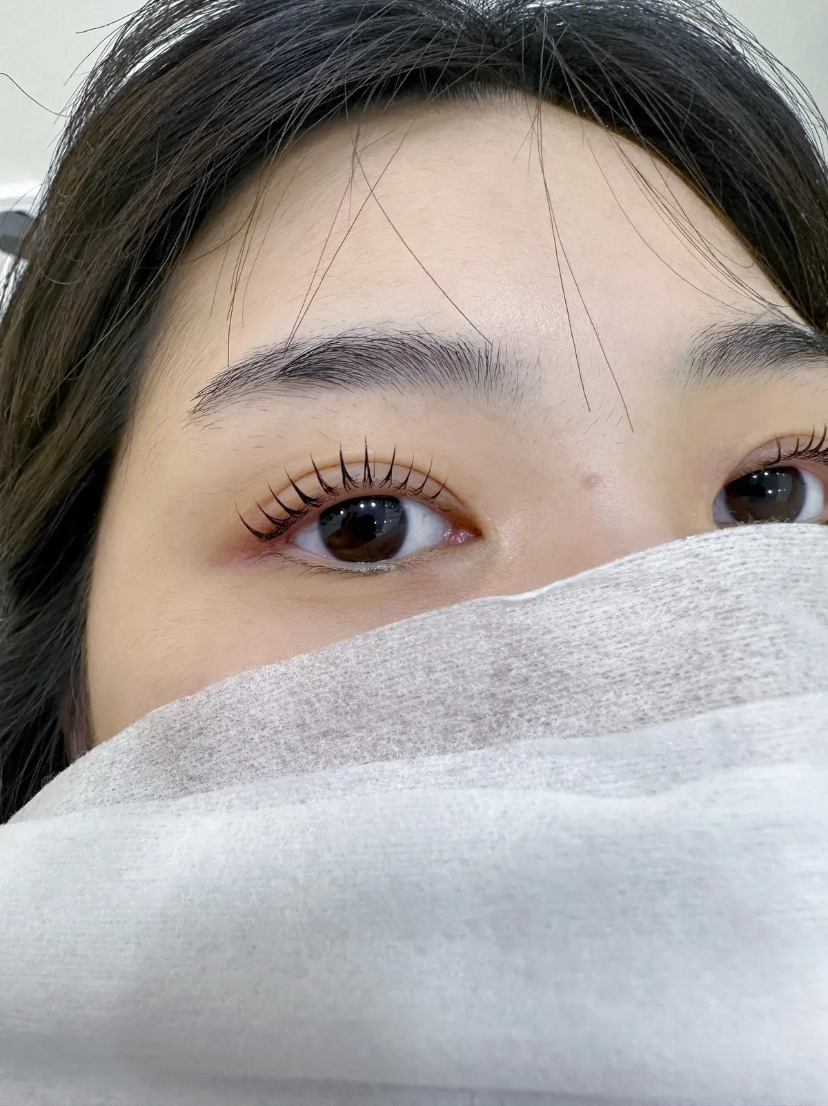 이미지 3