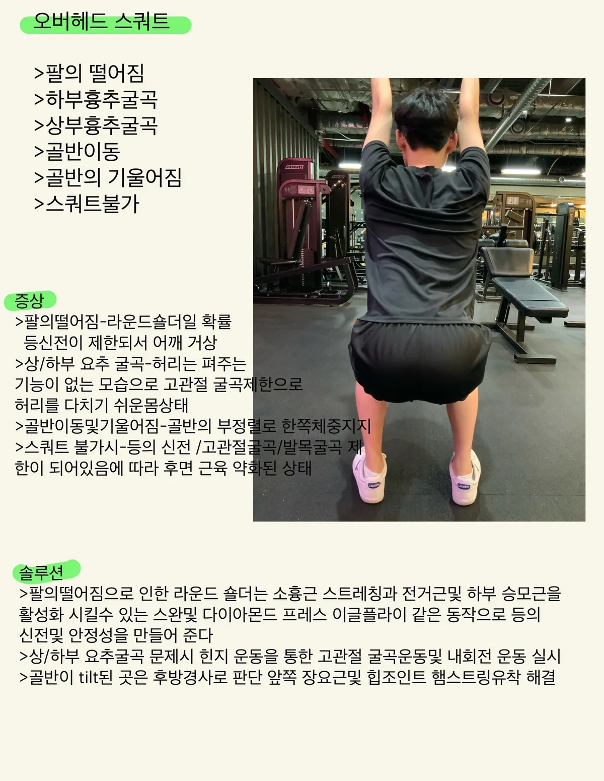 이미지 6