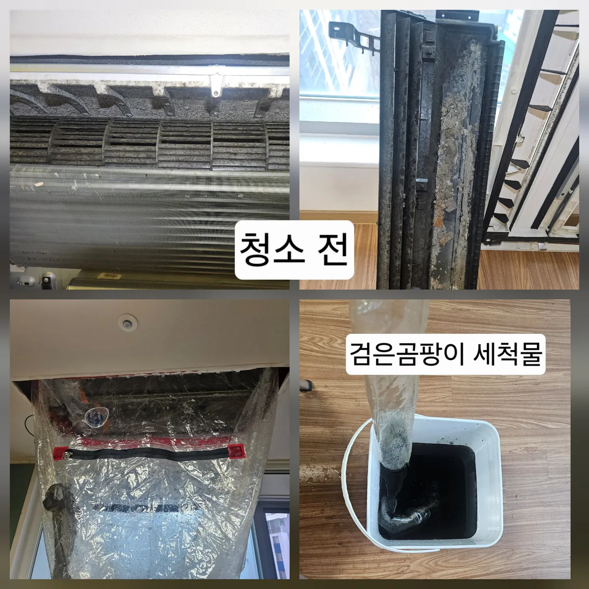 이미지 6