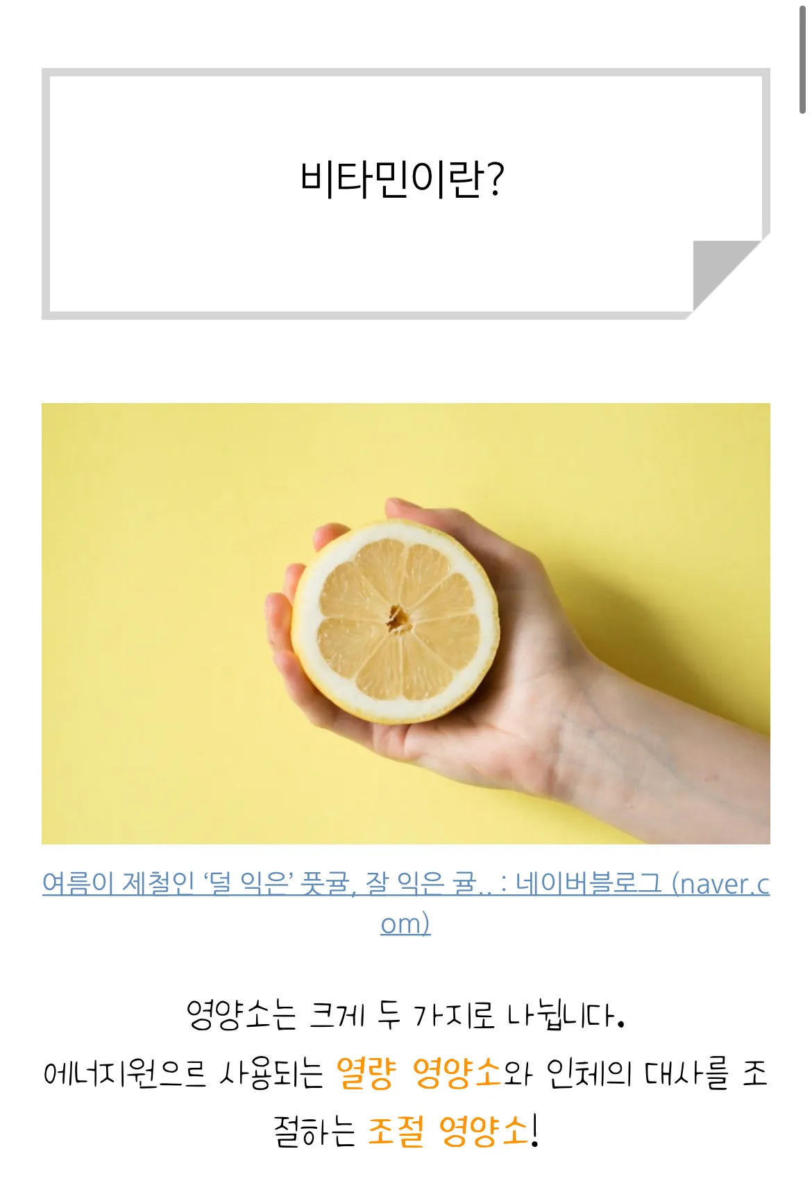 포트폴리오 이미지