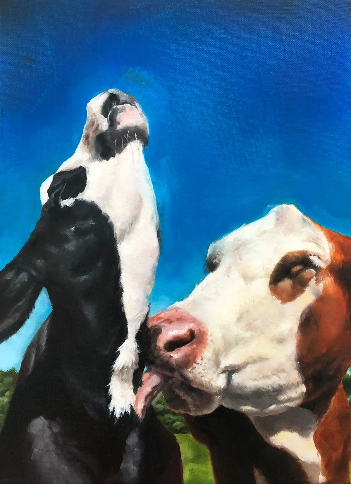 포트폴리오 이미지