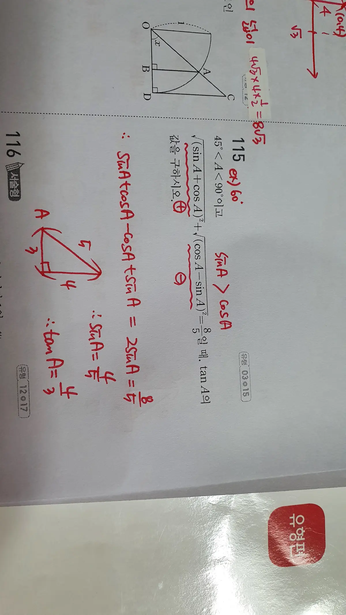 이미지 5